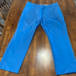 Ann Taylor Cotton Pants- Size 12